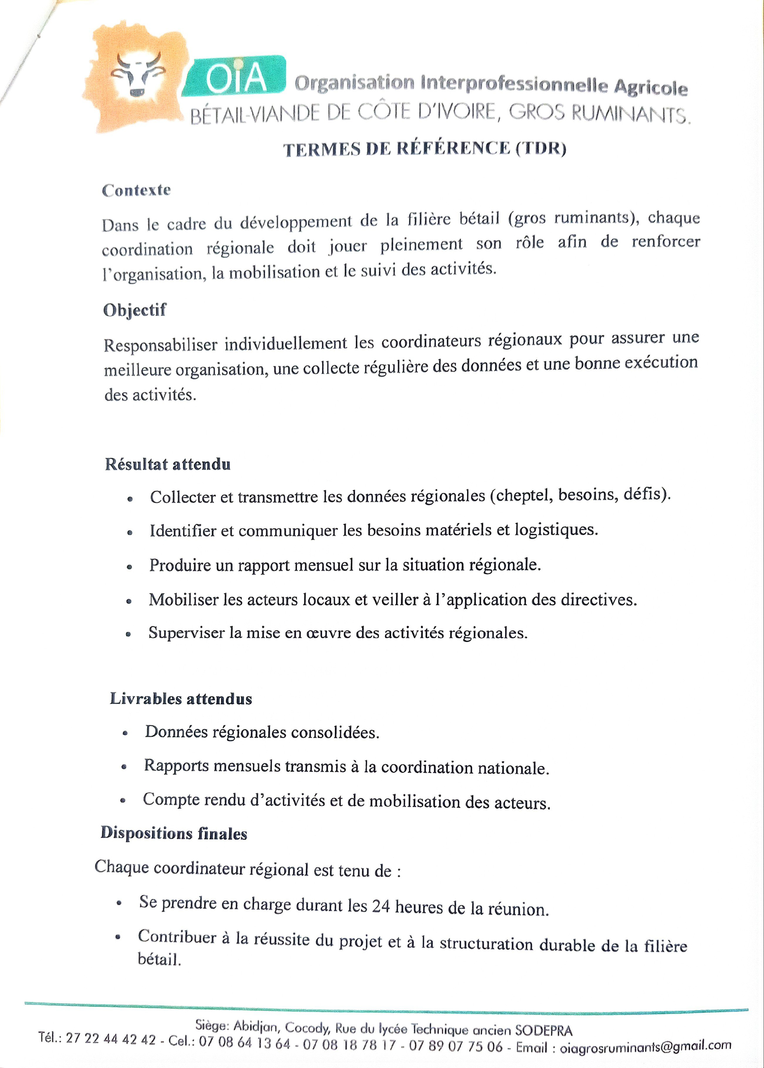 TERMES DE RÉFÉRENCE (TDR)