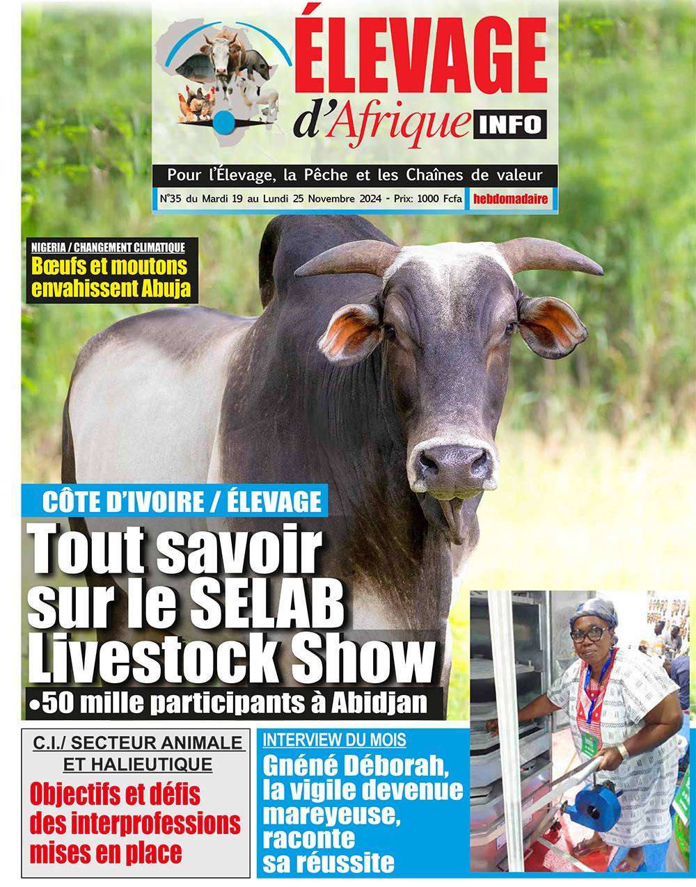 Bétail d'Afrique N°35
